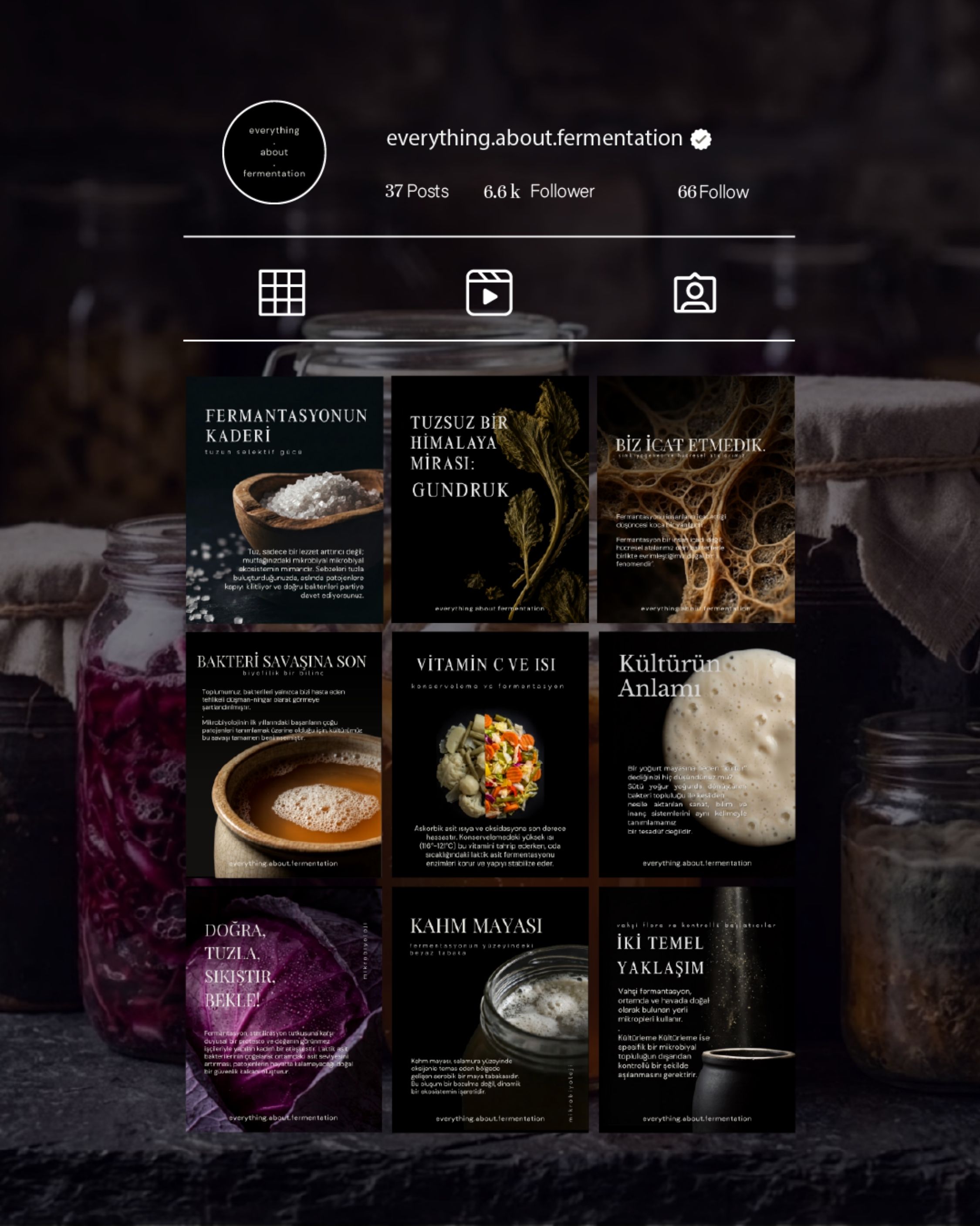 Everything.About.Fermentation fermantasyon içerik tasarımı — Beraanur Şahin