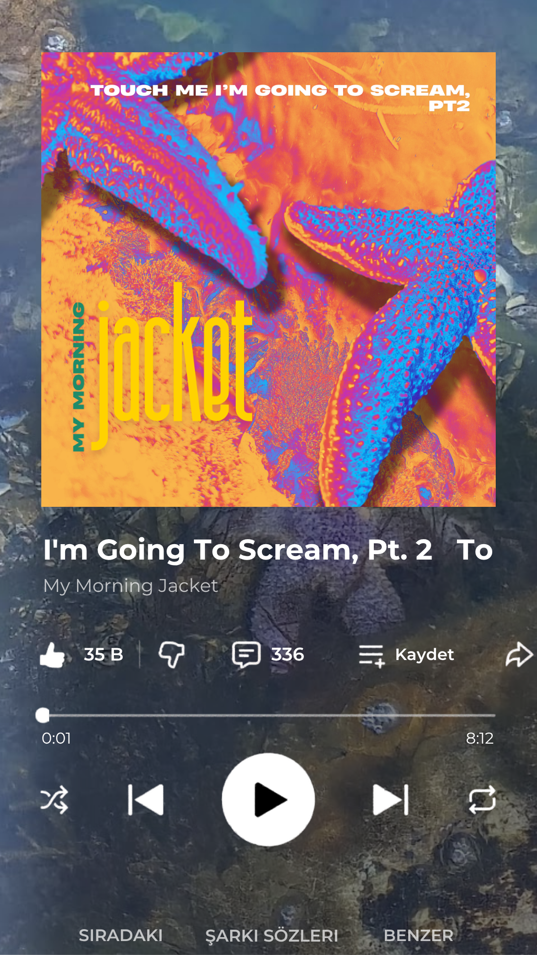 Şarkı kapakları — orijinal fotoğraf ve tipografi tasarımı — Beraanur Şahin